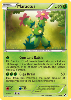 Maractus - Black & White
