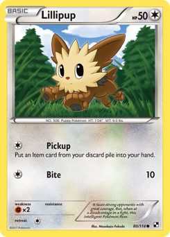 Lillipup - Black & White