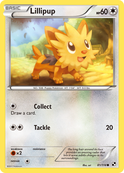 Lillipup - Black & White