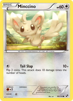 Minccino - Black & White