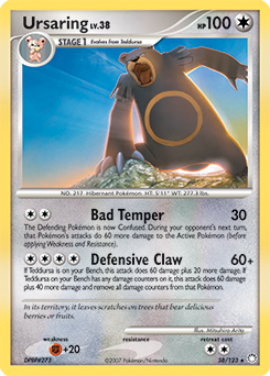 Ursaring - Mysterious Treasures