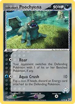 Team Aqua's Poochyena - Team Magma vs Team Aqua