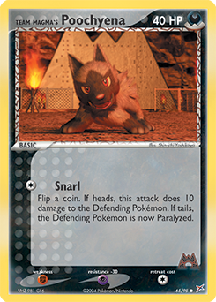 Team Magma's Poochyena - Team Magma vs Team Aqua