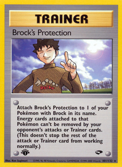 Brock's Protection - Gym Challenge