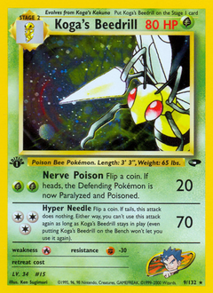 Koga's Beedrill - Gym Challenge