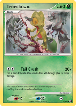 Treecko - Arceus