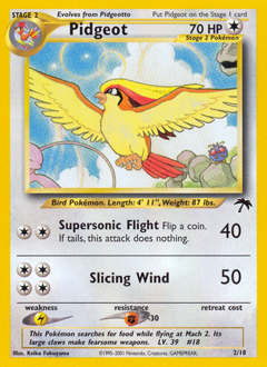 Pidgeot - Southern Islands