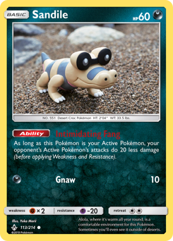 Sandile - Unbroken Bonds