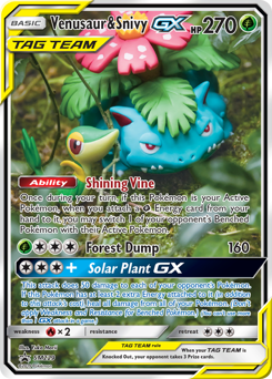 Venusaur & Snivy-GX - SM Black Star Promos