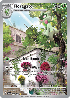 Floragato - Paldea Evolved