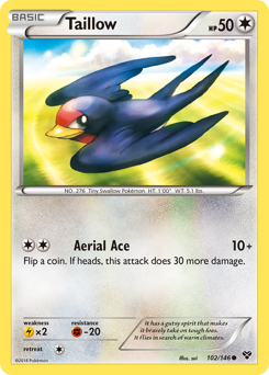 Taillow - XY